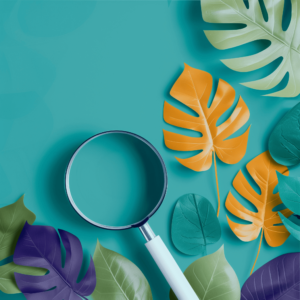 A magnifying glass highlighting a precise point with vibrant taffy colors, against an isolated background with bright and minimal vector geometric leaves and shapes.